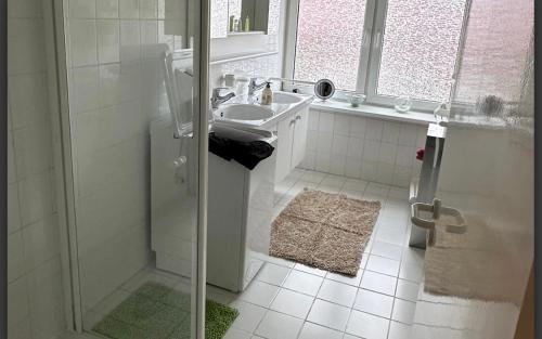 y baño blanco con lavabo y ducha. en Linas Wohlfühloase Hameln, en Hessisch Oldendorf