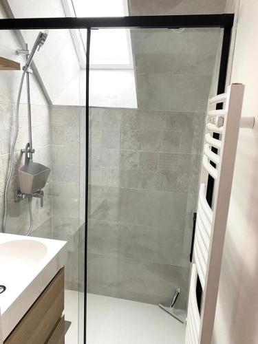 een badkamer met een douche en een glazen deur bij La Rose des Vents in Saint-Lunaire