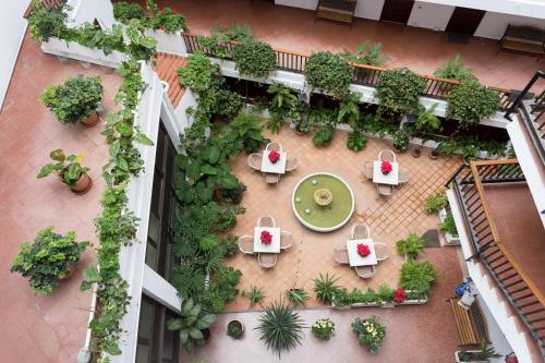 プエルト・デ・ラ・クルスにあるPrime Homes Muelle Studioのテーブルと植物のあるパティオの上から見渡せます。