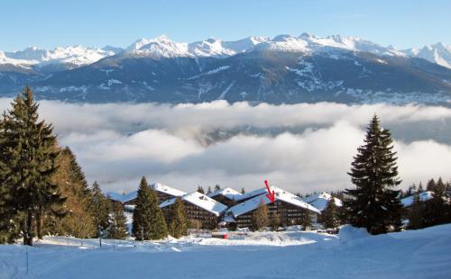 Ski-in Apartment in Anzere