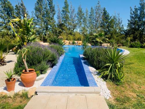 a swimming pool in a yard with plants at Quinta oriana in Paderne