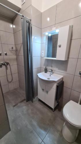 a bathroom with a shower and a sink and a toilet at HÉDER APARTMANOK in Balatonfenyves