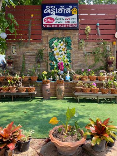 un’esposizione di piante in vaso in vasi in un giardino di คีรีเฮ้าส์ a Ban Nong Bua