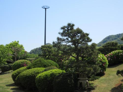 a park with a tree in the middle of bushes at Asagiriso in Toyooka