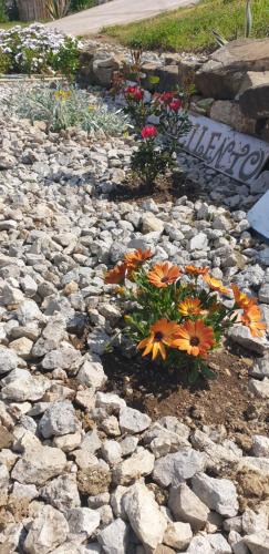 B&B Stella del Cilento – Photos 2