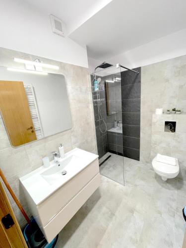 a bathroom with a sink and a toilet and a shower at Cosy&Minimalistic Apartments - Haret Building in Sinaia