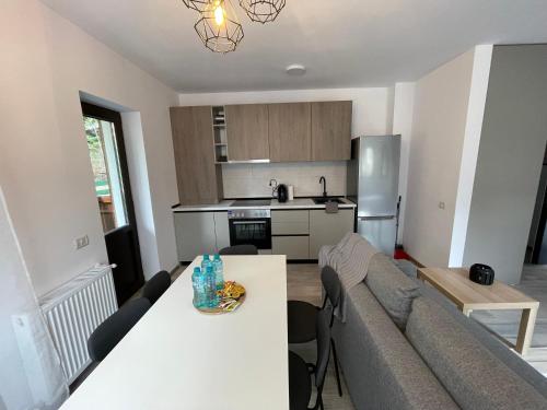 a kitchen and living room with a couch and a table at Cosy&Minimalistic Apartments - Haret Building in Sinaia