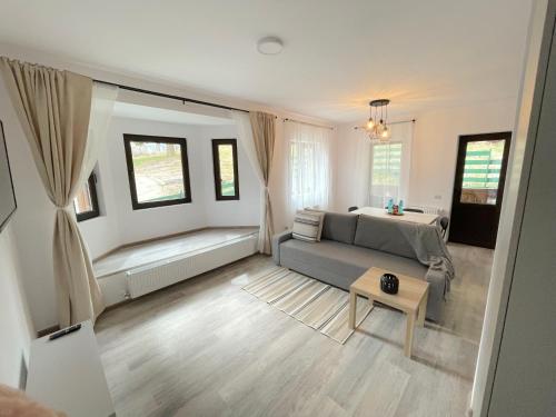 a living room with a couch and a table at Cosy&Minimalistic Apartments - Haret Building in Sinaia
