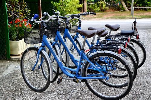 a row of blue bikes parked next to each other at Hotel Silver in Milano Marittima