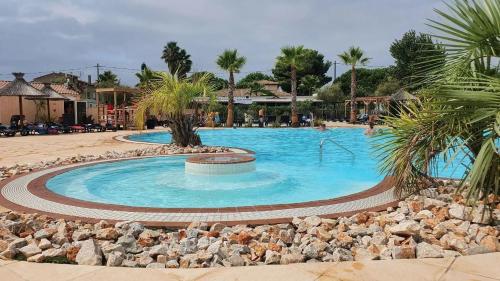 a large swimming pool in a resort with palm trees at Mobil-home Les Locs Danous in Valras-Plage