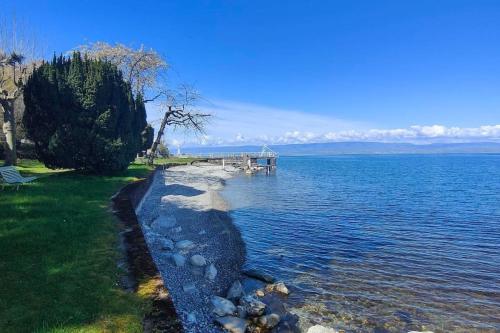 a body of water with a dock on the shore at Cabana & Nuit de Château au bord du Lac Léman in Lugrin