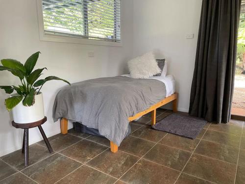 a bed in a room with a potted plant at Innisfree, a secluded rainforest retreat in Tarzali