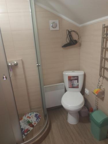 a small bathroom with a toilet and a shower at Котедж Віадук in Vorokhta