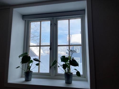 two potted plants sitting on a window sill at Studioapartment in city centrum in Tromsø