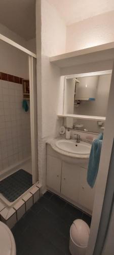 Kúpeľňa v ubytovaní Super T2 joli balcon centre port du Cap d'Agde