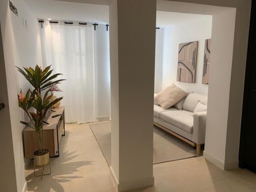 HELEARON SUITE