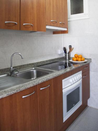 a kitchen with a sink and a dishwasher at Apartaments Atzavara in Calella