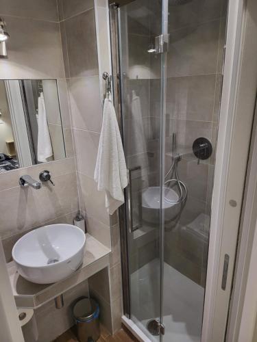 a bathroom with a glass shower and a sink at The Fox Cove in Rome