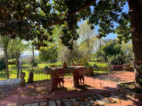 a picnic table in a park under a tree at Casa do Palheiro - Valença in Bade