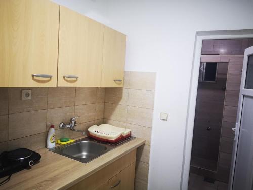 a small kitchen with a sink and a shower at Kuća Todorović in Budva