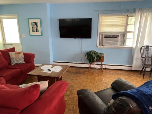 a living room with a red couch and a tv at Beach Front on the Bay in our Rustic, Pet Friendly Cottage home in North Camellia Acres
