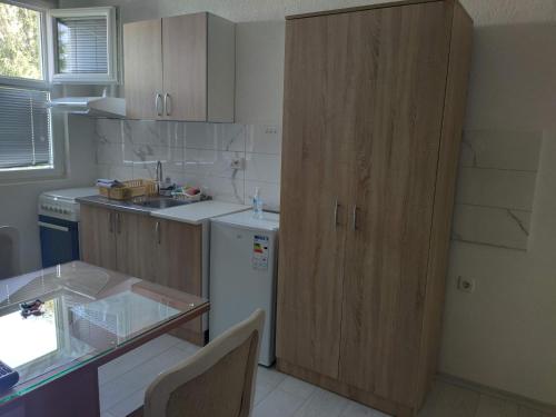 a kitchen with a refrigerator and a sink and a counter at Villa Ivanovi in Ohrid