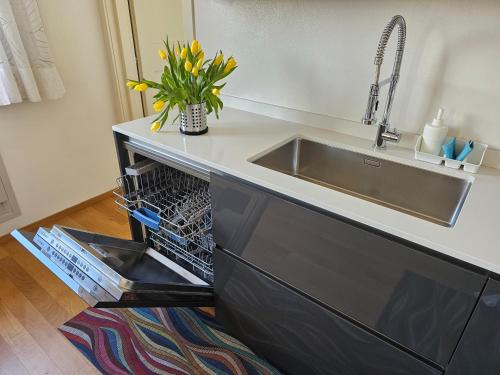 Villa Demidoff Apartment