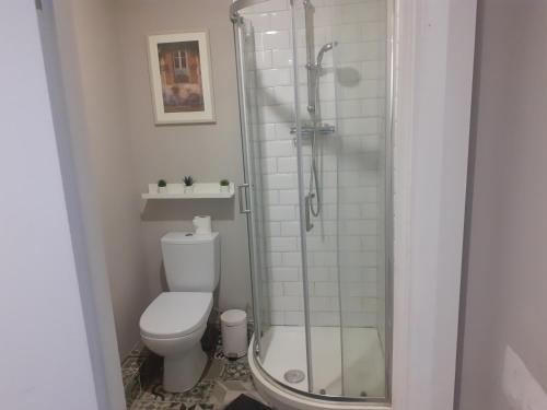 uma casa de banho com um WC e uma cabina de duche em vidro. em Spacious Studio-Dublin 3 em Dublin