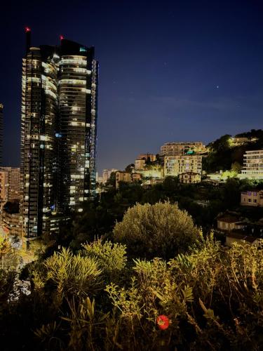 Luxueux Studio Neuf - Frontière Monaco - Piscine - Parking privé photo 11