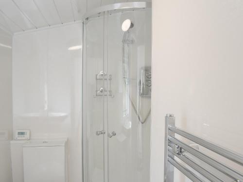 a bathroom with a shower and a toilet and a sink at Miners Cottage in Girvan