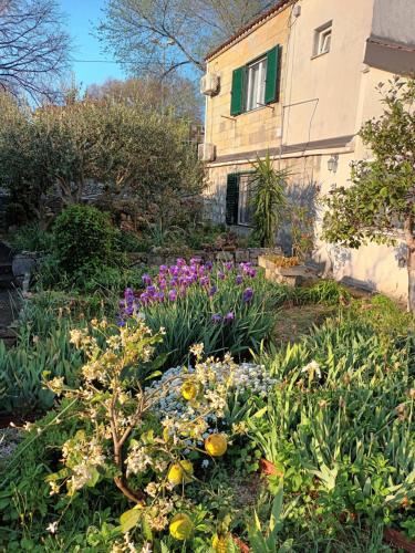 Foto dalla galleria di Apartman KARLANA - centar Split a Spalato (Split)