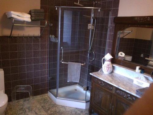 a bathroom with a shower and a sink and a toilet at Hotel Golden Dragon in Dessel