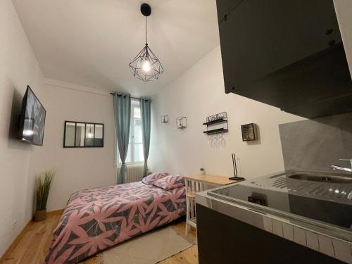 - une chambre avec un lit et un lavabo dans l'établissement Studio #1 hyper centre Gordaine, à Bourges