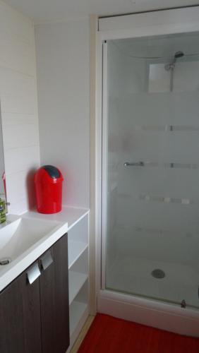 Ένα μπάνιο στο Le charme du Bassin d Arcachon en Mobil Home climatisé