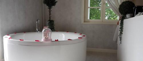 a bath tub in a bathroom with hearts on it at Orangerie du Château Marith - Chambres et Gîtes avec Piscine in Clairac