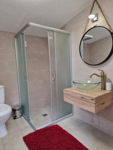 a bathroom with a shower with a sink and a mirror at Villa Mechta 