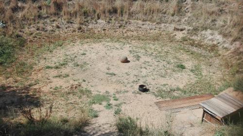 a park bench and a rock in a field at Ecostay de Wildernis in Wilp