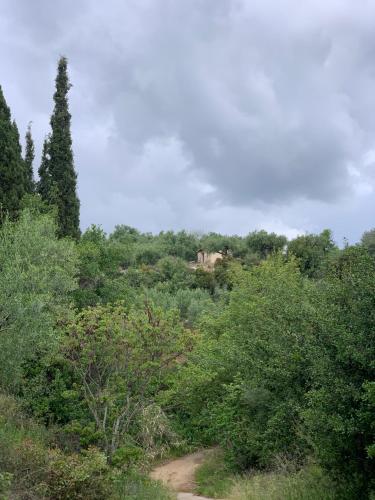 a dirt road in the middle of a forest at Villa Delfini in Chrani