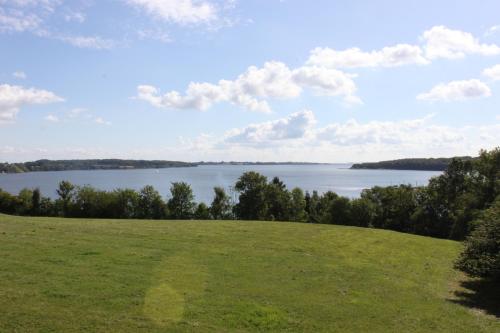 a green field with a lake in the background at Naturperlen in Rødekro