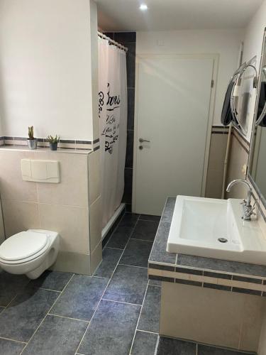een badkamer met een toilet en een wastafel bij Apartman Slivnica pri Mariboru in Slivnica pri Mariboru