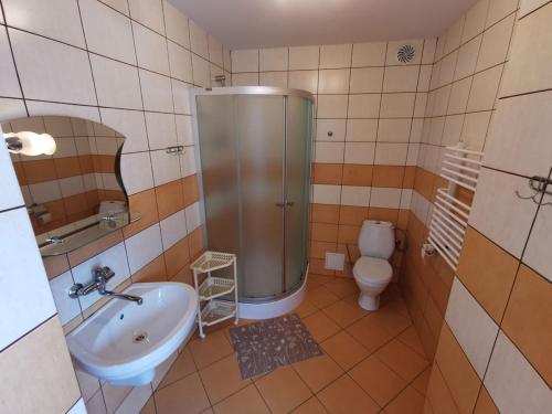 ein Bad mit einer Dusche, einem Waschbecken und einem WC in der Unterkunft Agrostrzecha in Ryczów