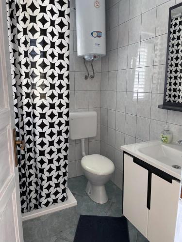 a bathroom with a toilet and a sink at Apartment Anic in Karlobag