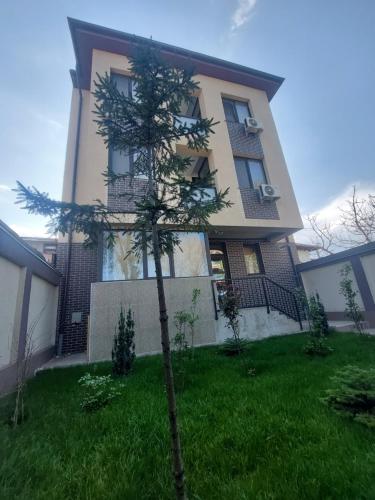 un piccolo albero davanti a una casa di Rio Apartament a Constanţa