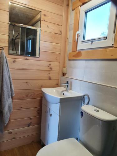 La salle de bains est pourvue de toilettes et d'un lavabo. dans l'établissement Szteklin os. Nowe, à Szteklin