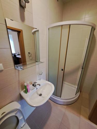 a bathroom with a sink and a mirror and a toilet at Liškiavos vienuolyno ansamblis in Liškiava