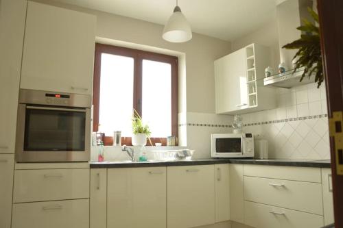 een witte keuken met een wastafel en een magnetron bij Le Petit Ried (15 min de Strasbourg) - 3P -70 m² in Hoenheim