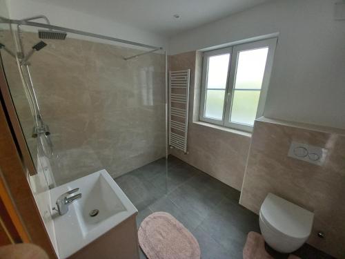 baño con lavabo y aseo y ventana en Wunderschönes 2Zimmer Apartment in Sbg, en Salzburgo