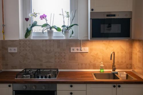 uma cozinha com um lavatório, um fogão e uma janela em Firpo Apartman em Eger