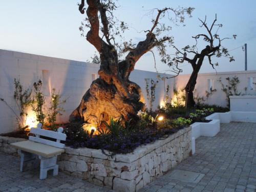 a tree in a stone wall with a bench at Masseria Santa Teresa in Monopoli