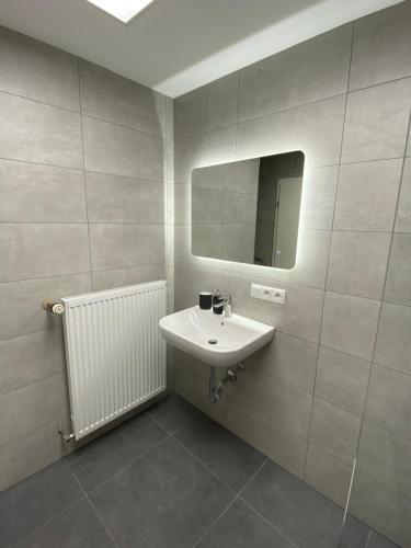 een badkamer met een wastafel en een spiegel bij Ruhige Ferienwohnung bei Bamberg in Stegaurach